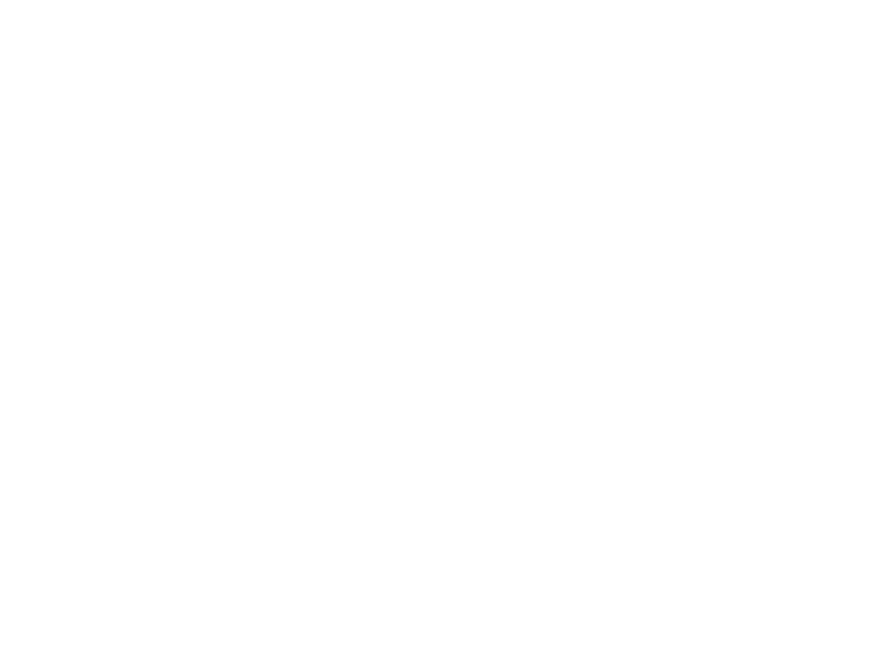 My Little Wok